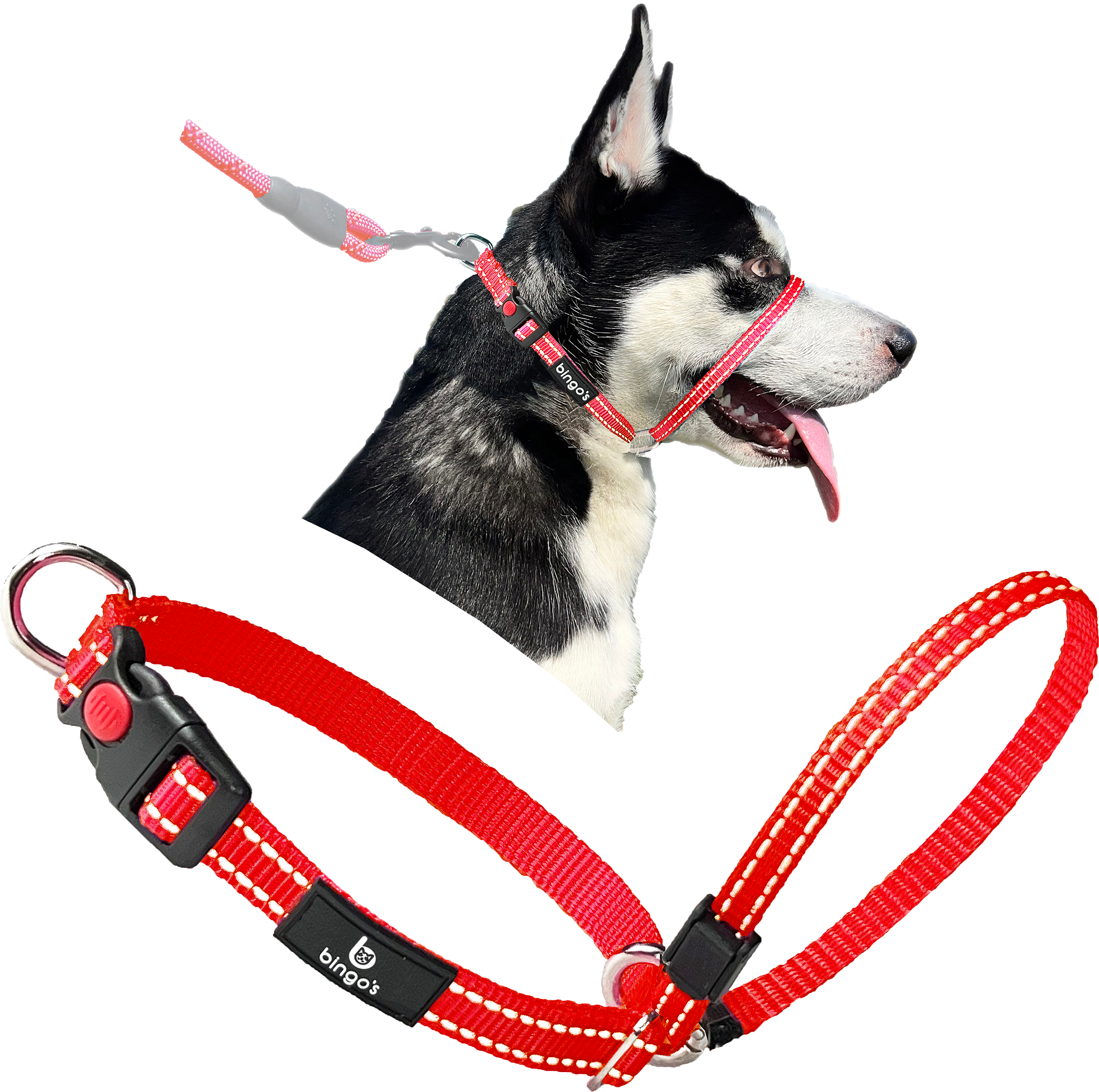 Red dog 2024 collar and leash