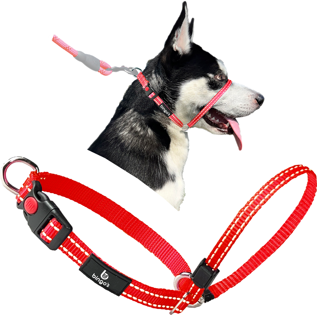 Bingo's Back Clip Gentle Lead No Pull Head Collar