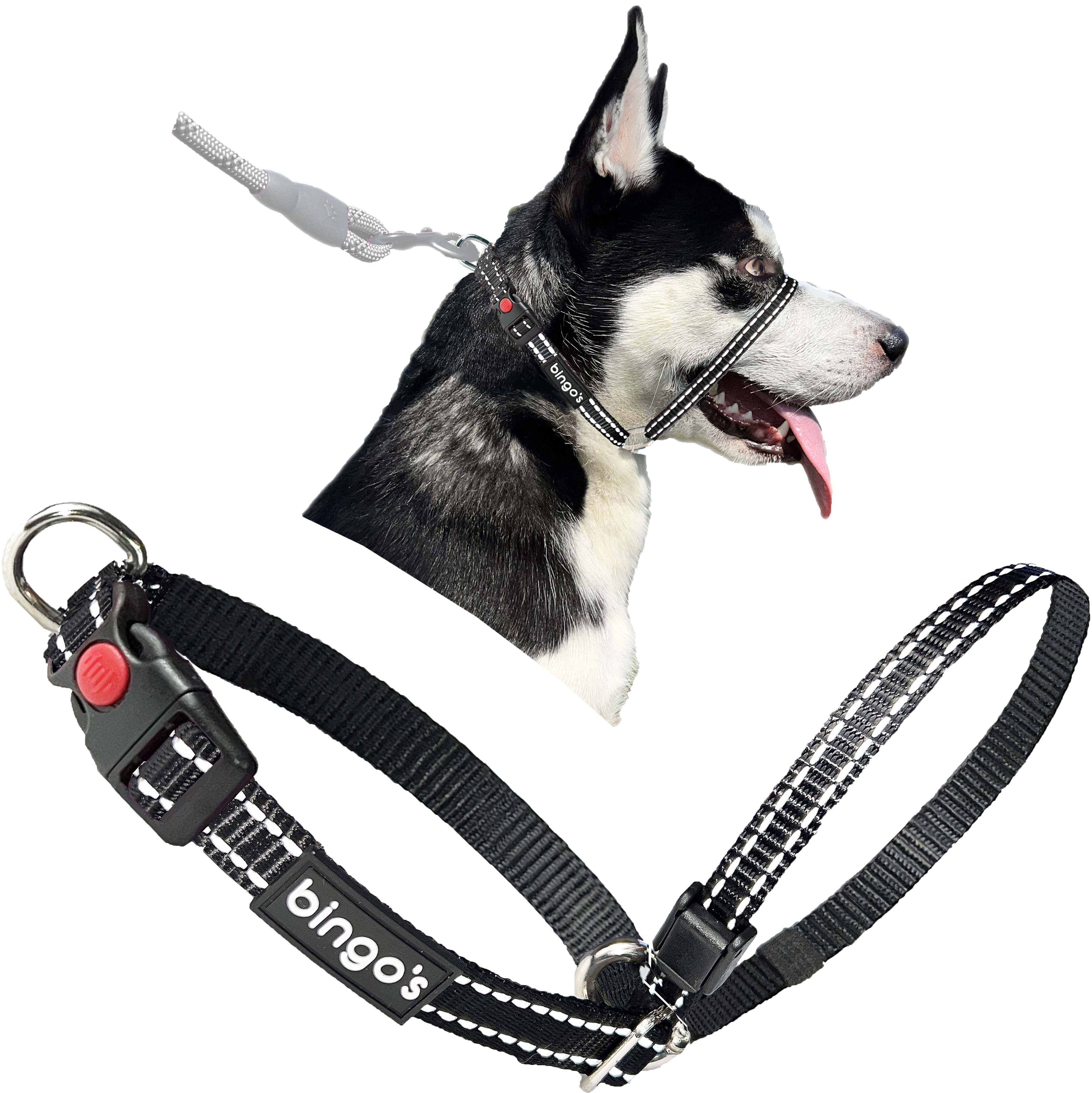 Gentle leader safety strap outlet