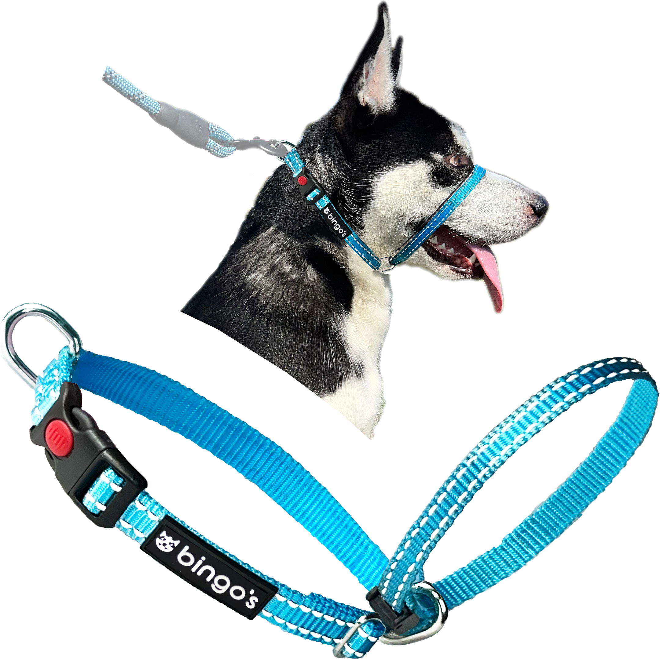 Bingo s Back Clip Gentle Lead No Pull Head Collar Blue